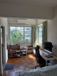 Mandalay Towers (D11), Apartment #450189971